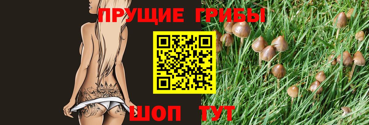 Псилоцибиновые грибы MAGIC MUSHROOMS  Вход с VPN  Псилоцибиновые грибы Psilocybine cubensis  даркнет сайт  Альметьевск 